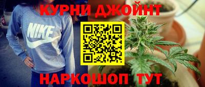 дмт Пенза