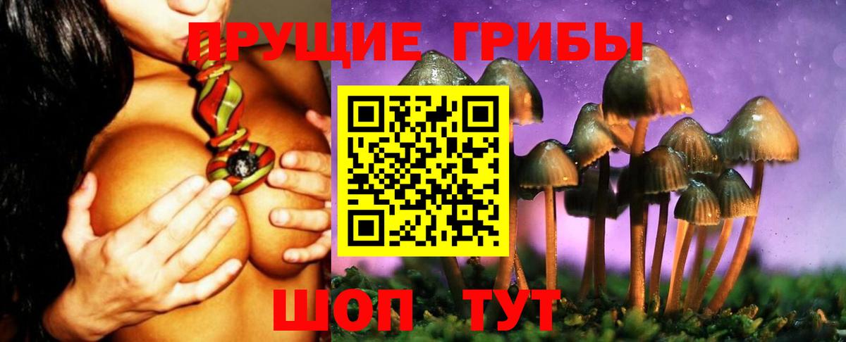 Галлюциногенные грибы ЛСД  Вход с VPN  Ставрополь 
