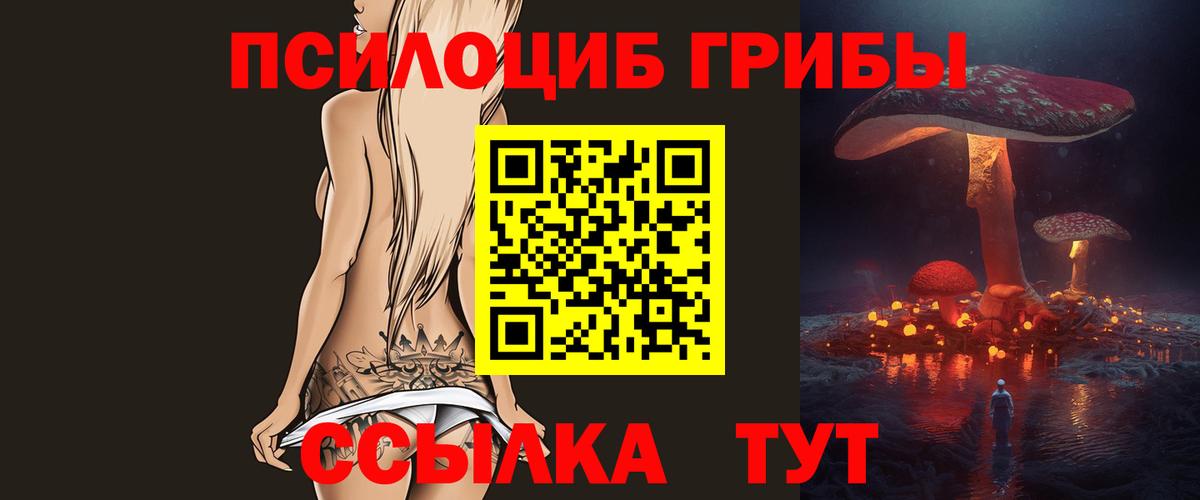 Галлюциногенные грибы прущие грибы Ставрополь